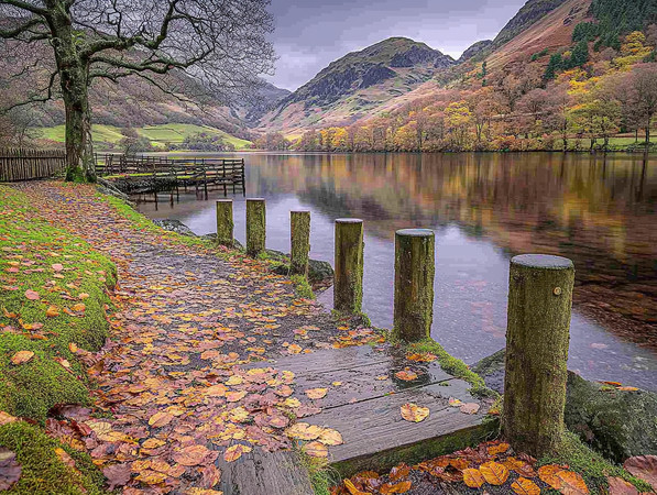 秋日湖畔落叶铺道 秋日湖畔落叶铺道