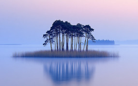 峿еĹµ