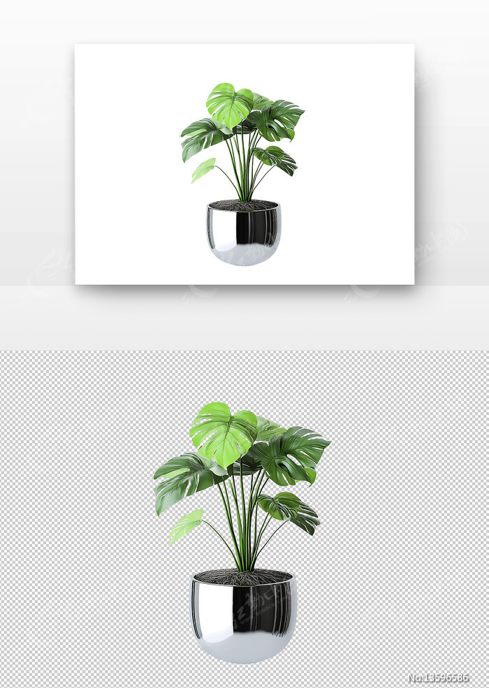镜面花瓶中的绿植