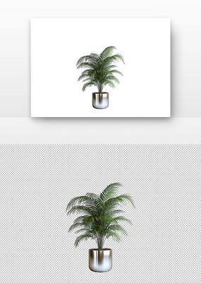 ɫд̵ֲ