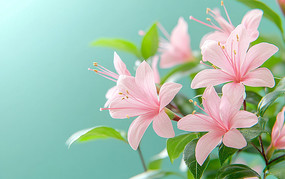 ۶ž黨