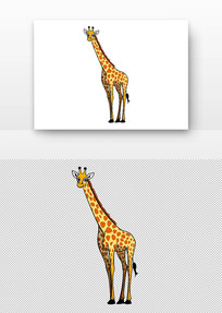 ¹վº