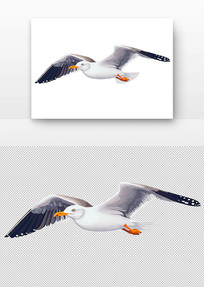 ĺŸ