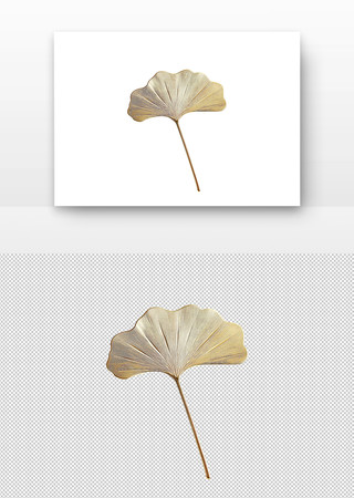 金色的银杏叶形装饰 PNG