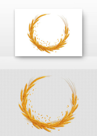 金色麦穗 金色麦穗