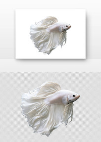 ɫ