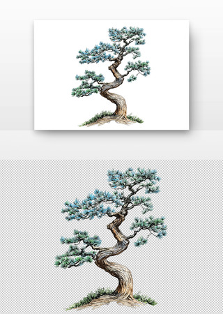 国画松树盆景 国画松树盆景