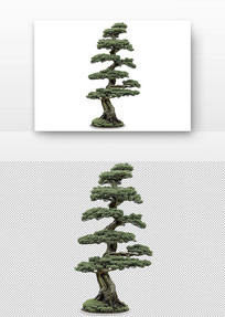 辰