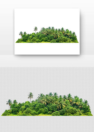 郁郁葱葱的椰树岛 PNG