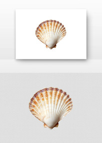 α