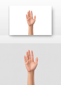 ſ