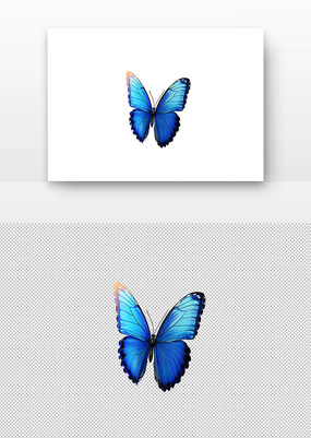 ɫչ