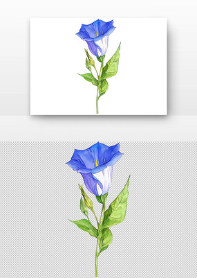 ǣţ