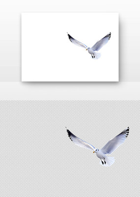 չĺŸ