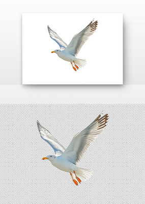 չĺŸ