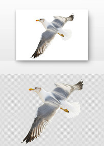չĺŸ