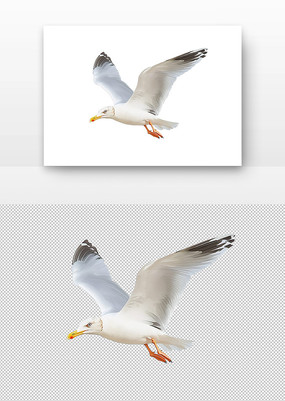 չĺŸ