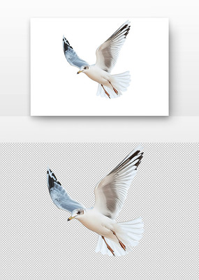 չĺŸ