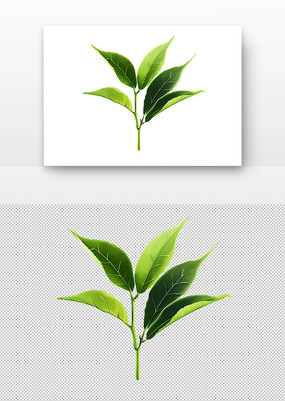 Ҷ