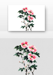 ĵ