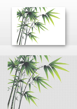 翠绿的竹子 翠绿的竹子