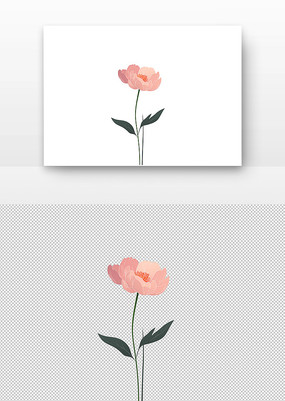 ɫĵ