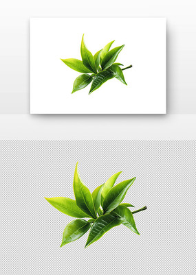 Ҷ