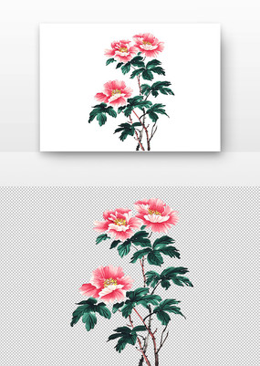 ĵ