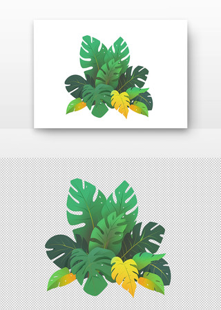 热带植物的绿色叶片 PNG