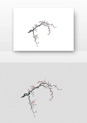ɫ÷֦ŵ