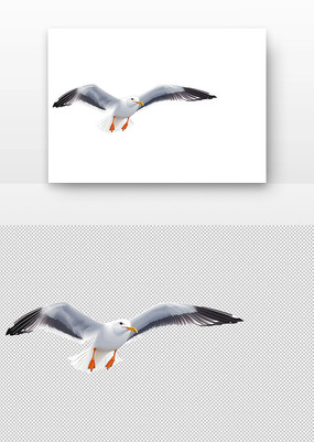 Ÿչ