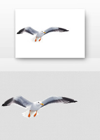 Ÿչ