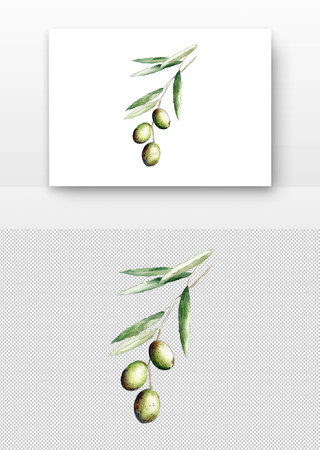 橄榄