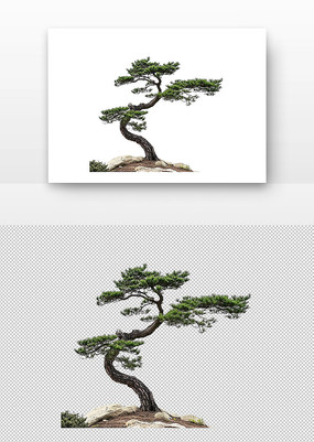 辰