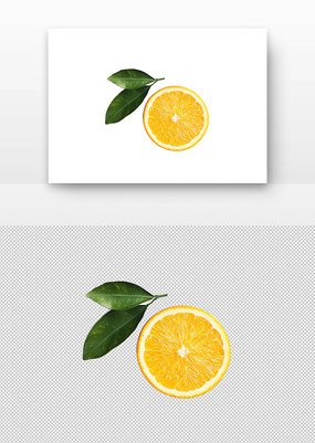 ƬĳӺҶ