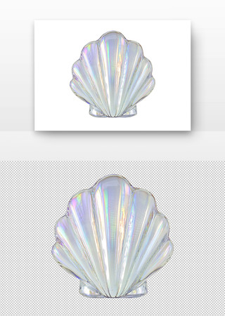 贝壳 PNG