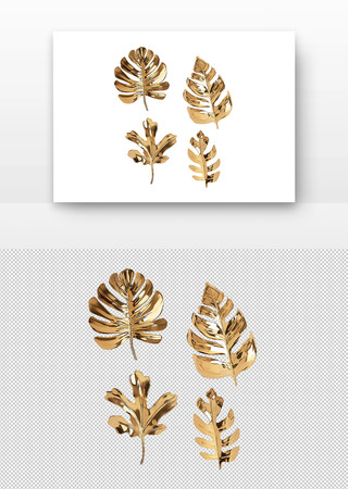 金色的热带植物叶子 PNG