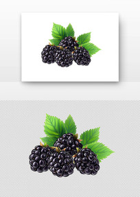 ݮ