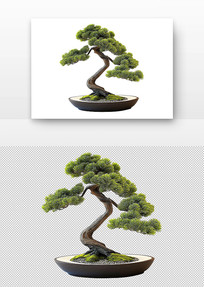 ŵ辰֦ͦҶï