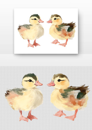 可爱的小鸭子 可爱的小鸭子