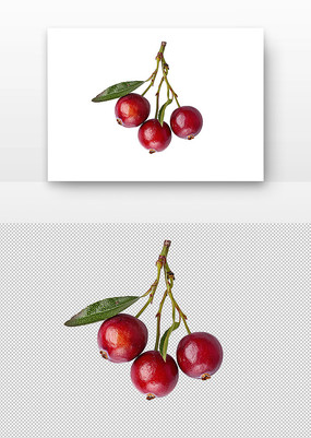 Խݮ