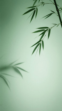 µĴ֦Ҷ