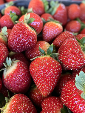 ݮ