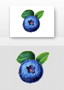ݮ