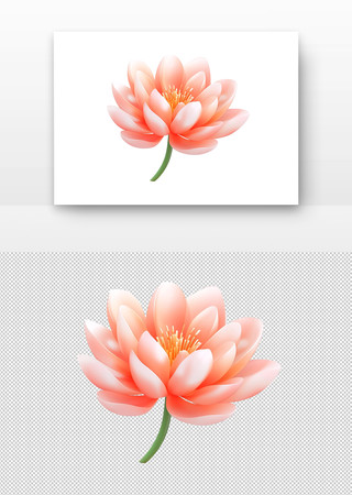 手绘莲花