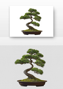 辰