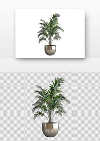 ֲ