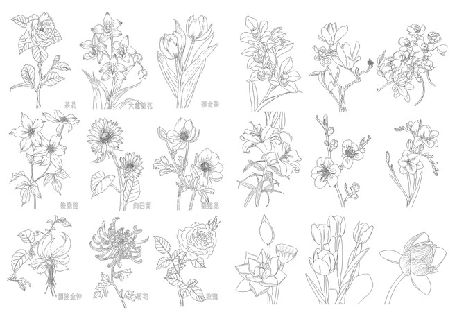 花朵CAD总图