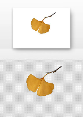 Ҷ