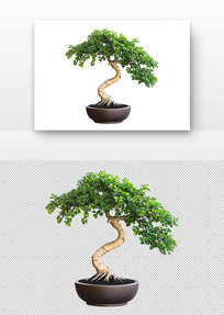 ŵ辰